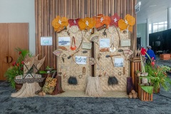 Traditional-PNG-trade-display-